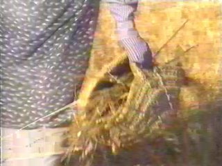 CAMPO - (80)  LABRANZA